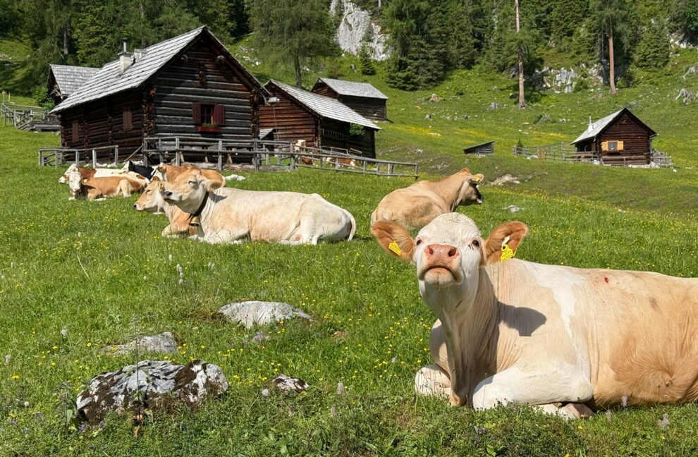 Sound of Alm – ein klingendes Erbe lebt weiter