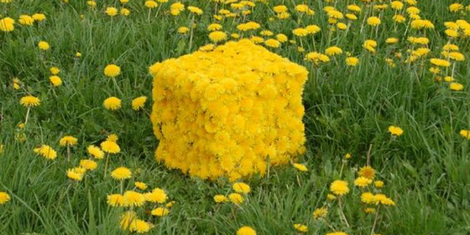 LandArt - gestalten mit der Natur